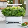 Top 10 ๐ AeroGarden Bounty, White ๐ 2 Top 10 ๐ AeroGarden Bounty, White ๐ -Planters Sales Store unnamed file 982