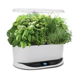 Top 10 👏 AeroGarden Bounty, White 🌟 -Planters Sales Store unnamed file 984