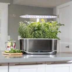 Cheap β AeroGarden Bounty Elite, Platinum Stainless π