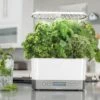 Wholesale π€© AeroGarden Harvest Elite, White Stainless π 2 Wholesale π€© AeroGarden Harvest Elite, White Stainless π -Planters Sales Store unnamed file 993
