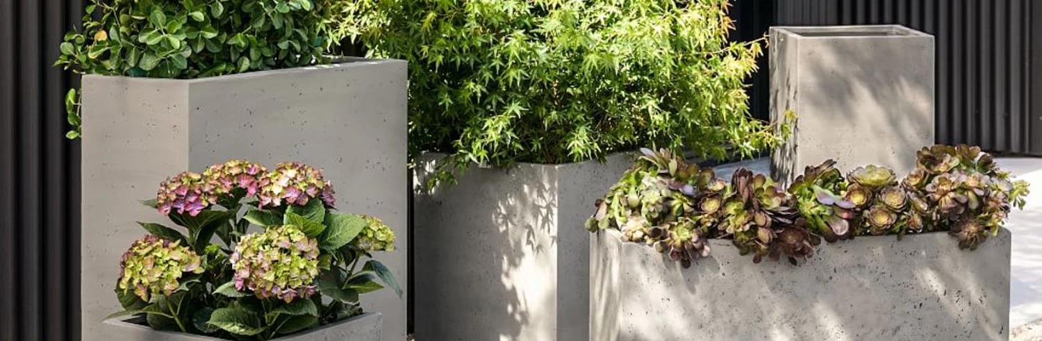 Planters Sales Store -Planters Sales Store 未标题 1